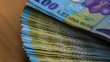 Guvernanța fiscală înainte de exit: Cât contează în prețul tranzacției? RON Leu Money European Currency