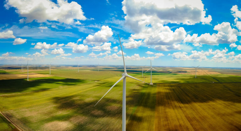 Sebastian Enache (RENEWACAD): Solar park construction could attract 80,000 jobs by 2030
